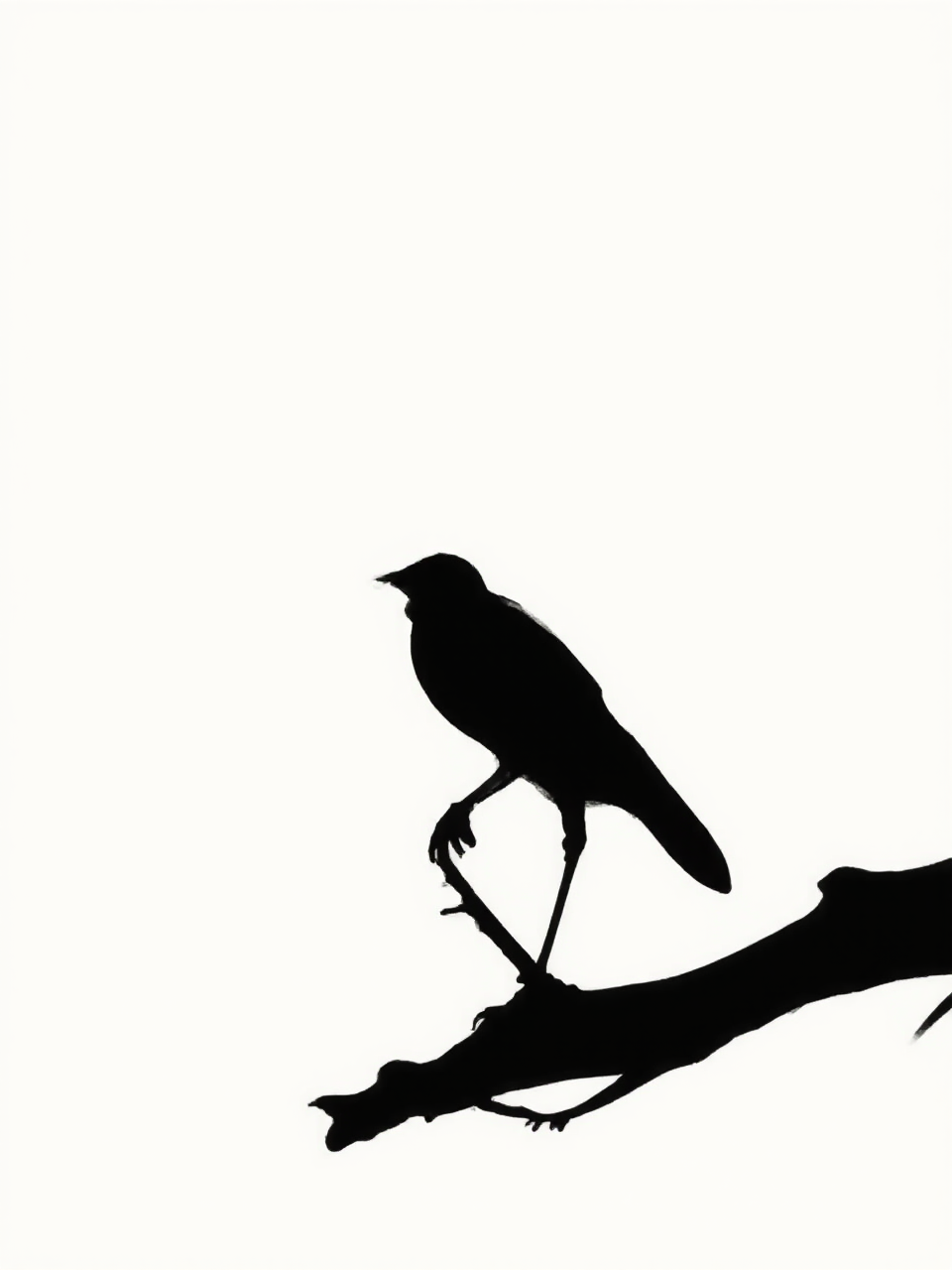 Silhouette of a bird